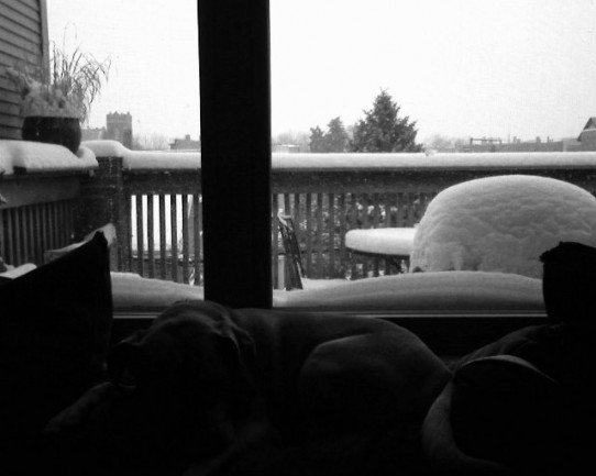 a view of my back porch today