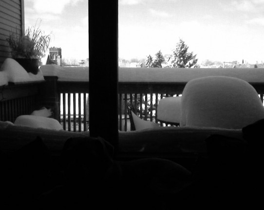 snow 100210 view out my window today